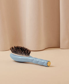 N.01 La Petite Brosse Brillance & Soin l'Universelle Bleu Ciel