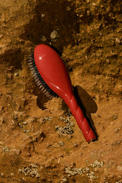 N.02 La Petite Brosse Démêlante & Soin l'Indispensable Terre Battue