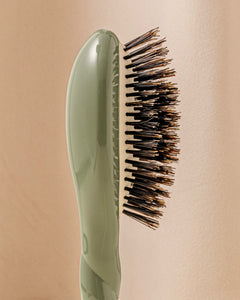 N.01 La Petite Brosse Brillance & Soin l'Universelle Vert Amande