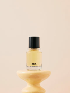 Le Shampoing Cair Taille voyage